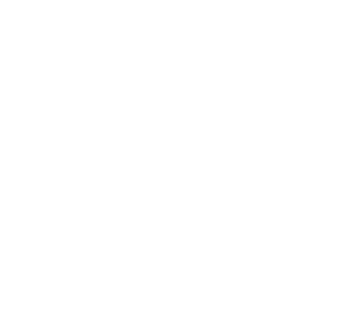 LOGO-65-OFICIAL